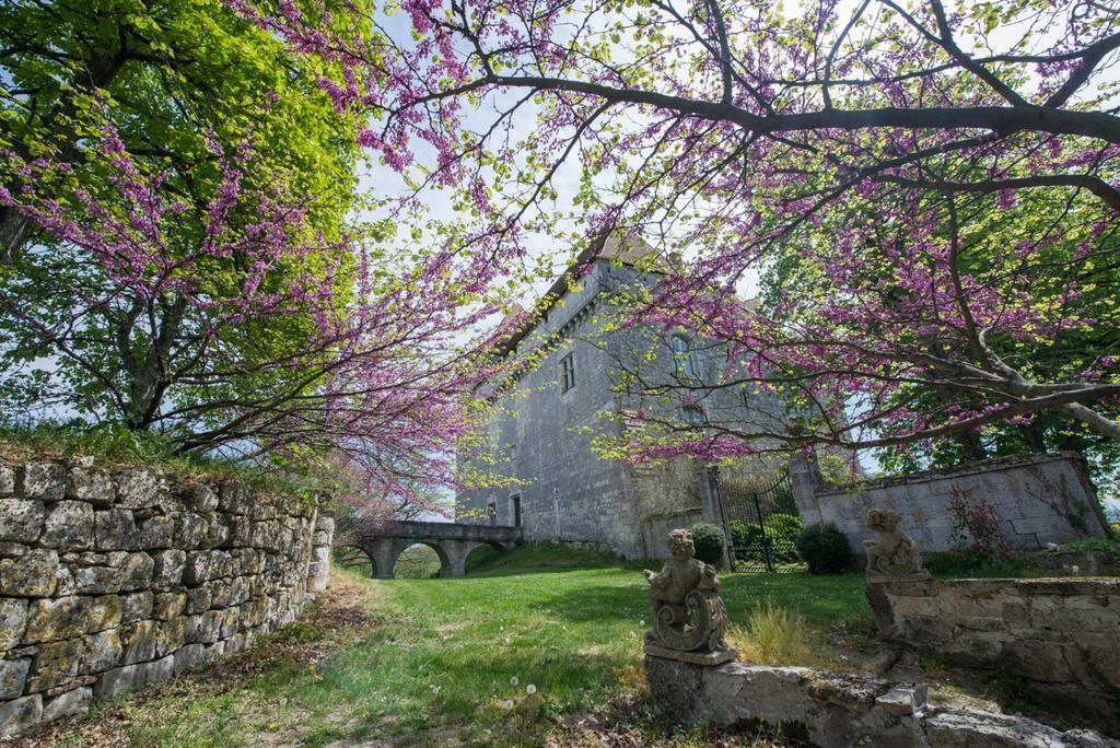 Chateau De Goudourville Villa Exteriör bild