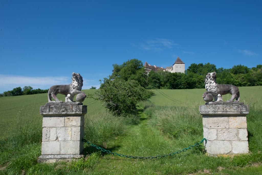 Chateau De Goudourville Villa Exteriör bild